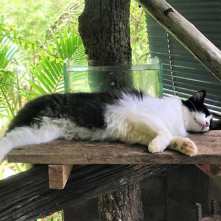 Chill Out Village Ao Nam Mao Zewnętrze zdjęcie