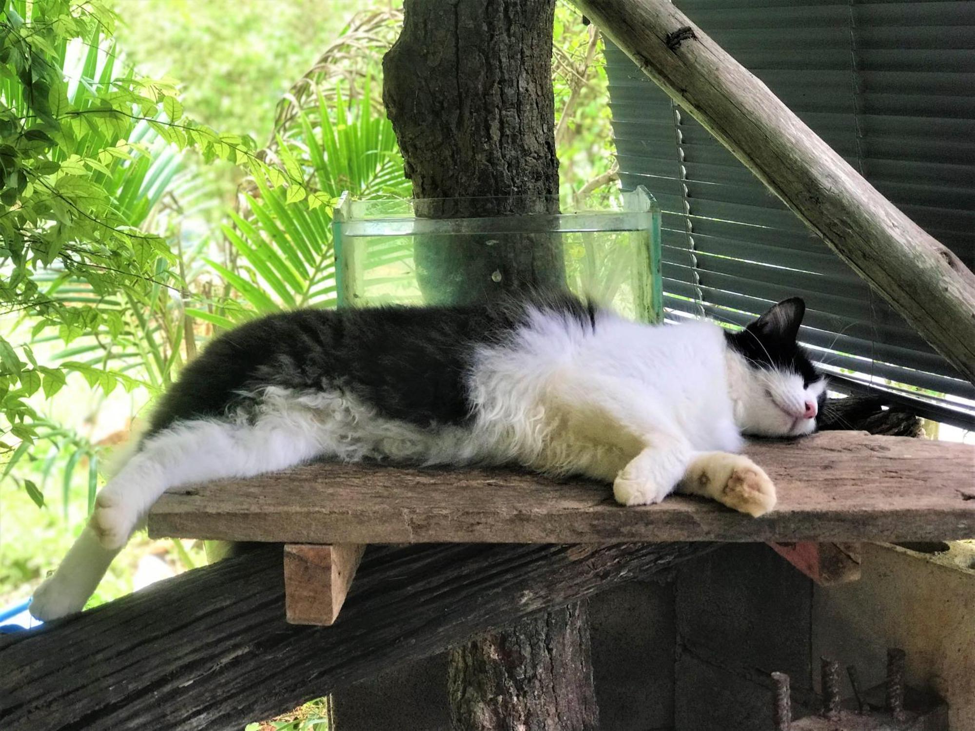 Chill Out Village Ao Nam Mao Zewnętrze zdjęcie
