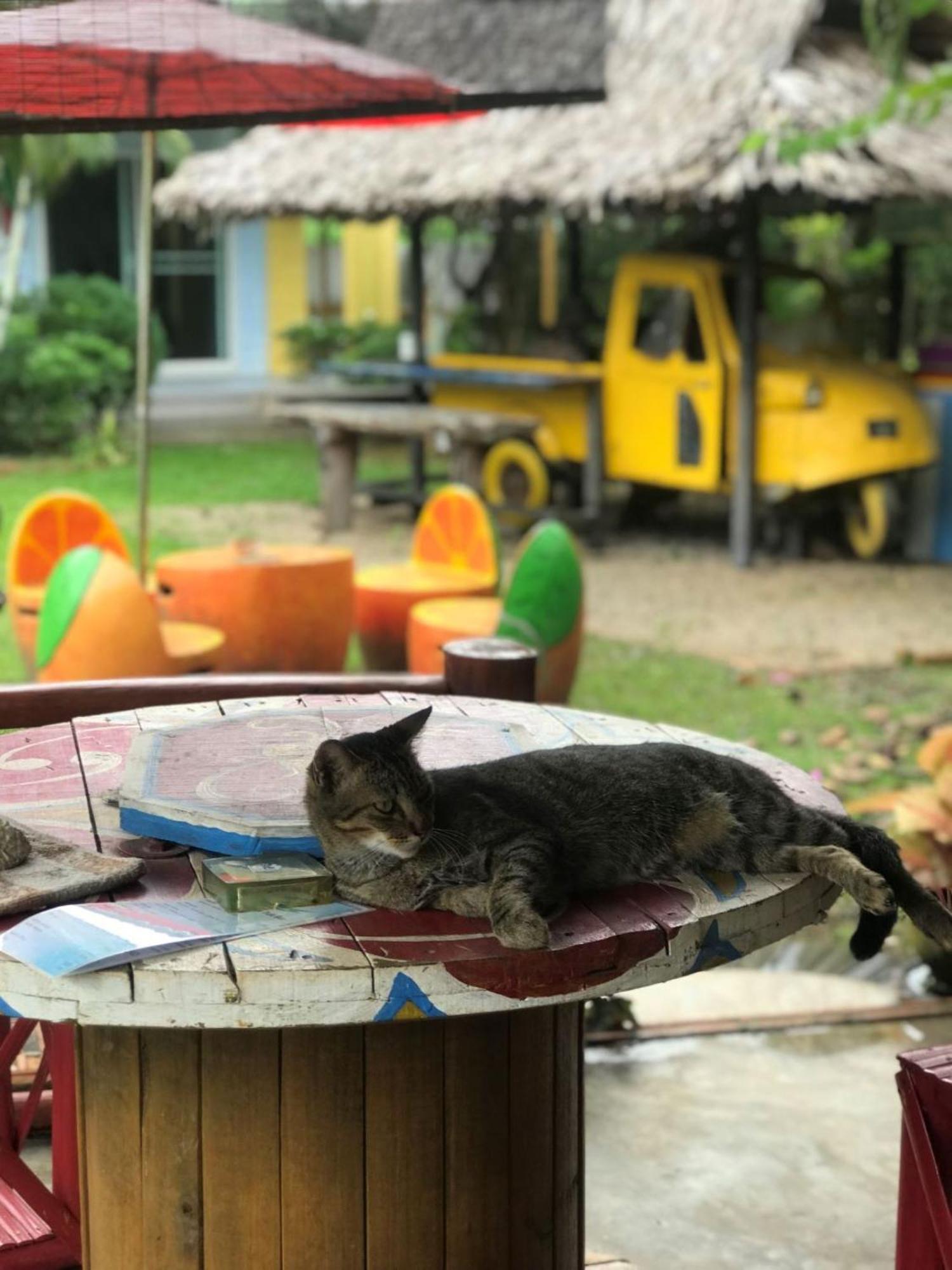 Chill Out Village Ao Nam Mao Zewnętrze zdjęcie